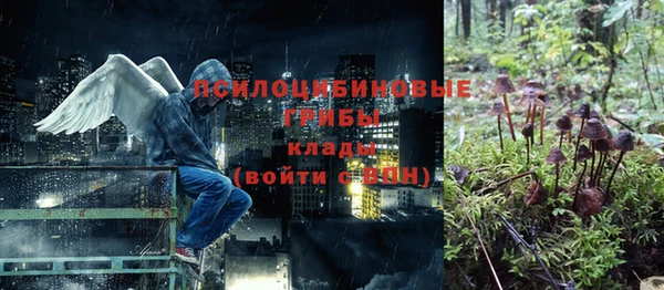сатива Пересвет