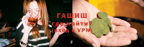 гашик Пестово