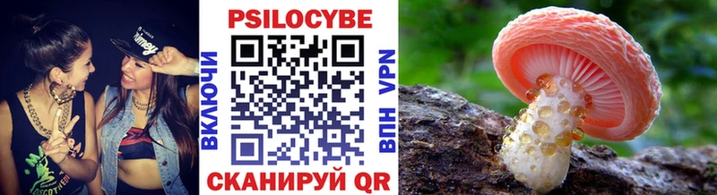 МЕГА tor  Сычёвка  Псилоцибиновые грибы MAGIC MUSHROOMS  даркнет сайт 